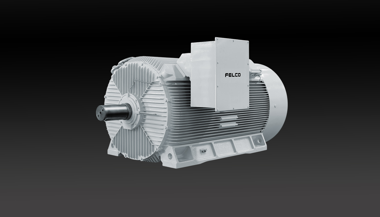 Medium & High Electric Voltage Motors