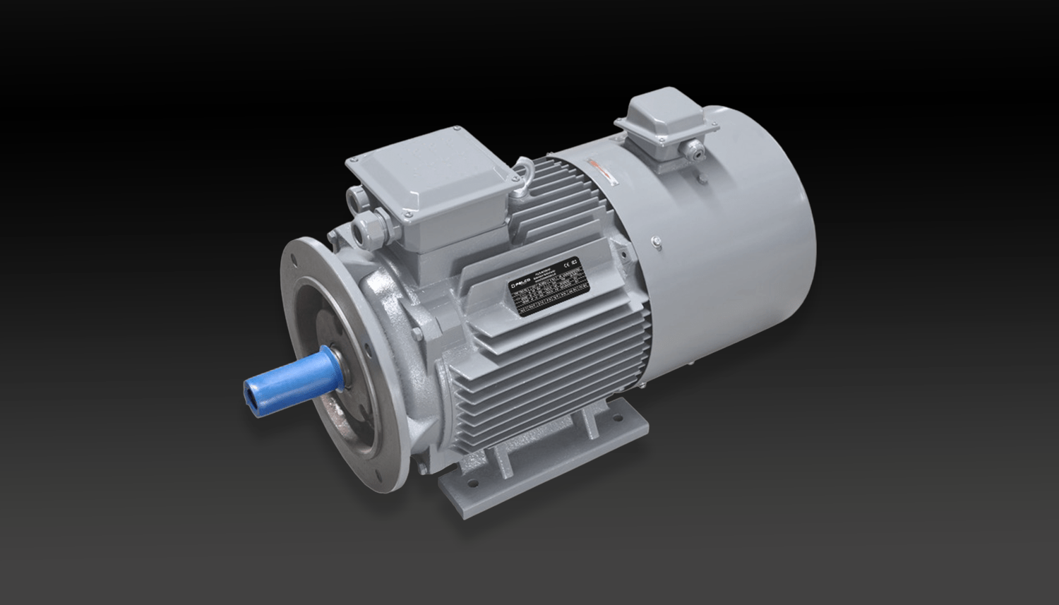 Inverter-Duty Motors (VFD-Compatible)