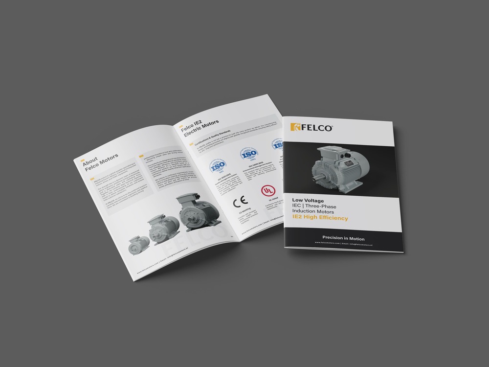 Medium & High Electric Voltage Motors brochure image